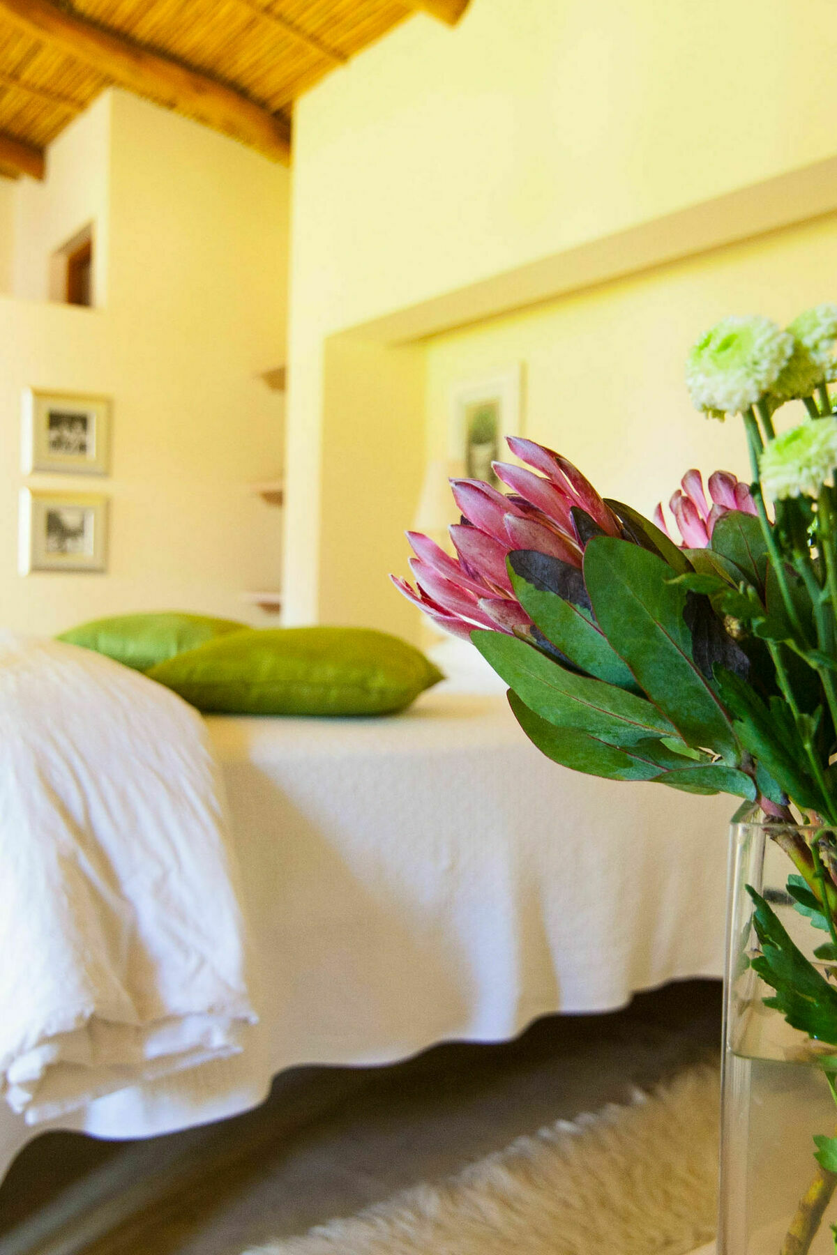 Babette Bed And Breakfast スウェレンダム エクステリア 写真